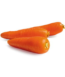 carrot